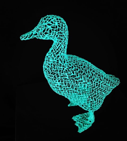 Eka Acosta, Duck