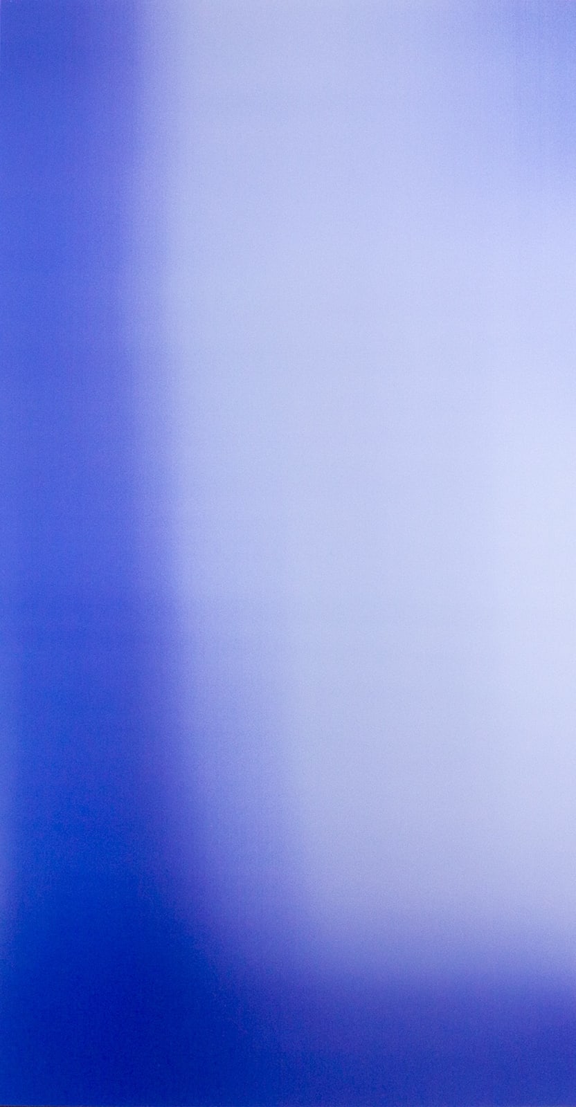 Jens Buis, Celluloid forest