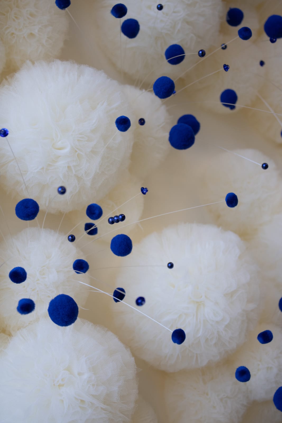 Sofie Aaldering, Touch of Blue