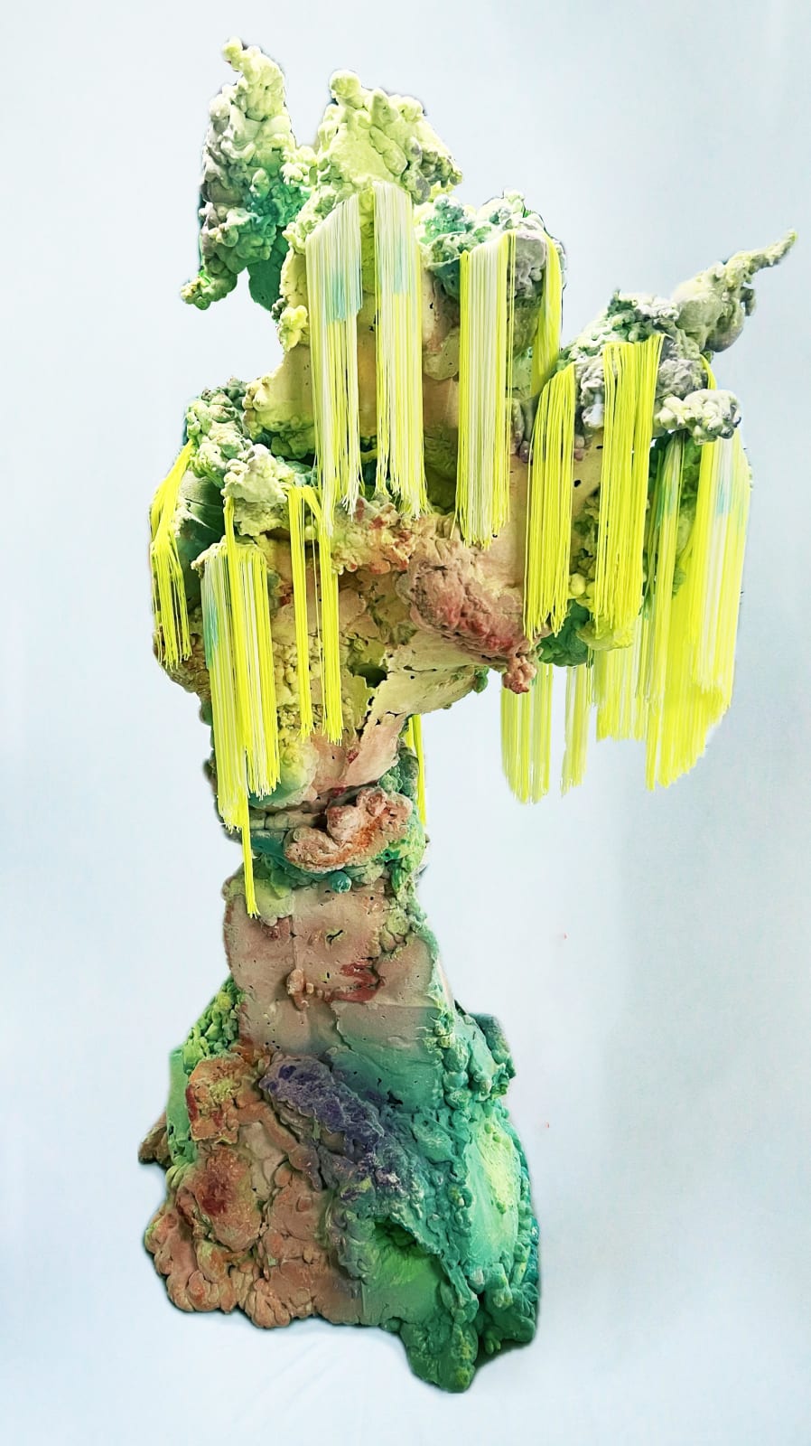 Pedro Matias, NEW coralia