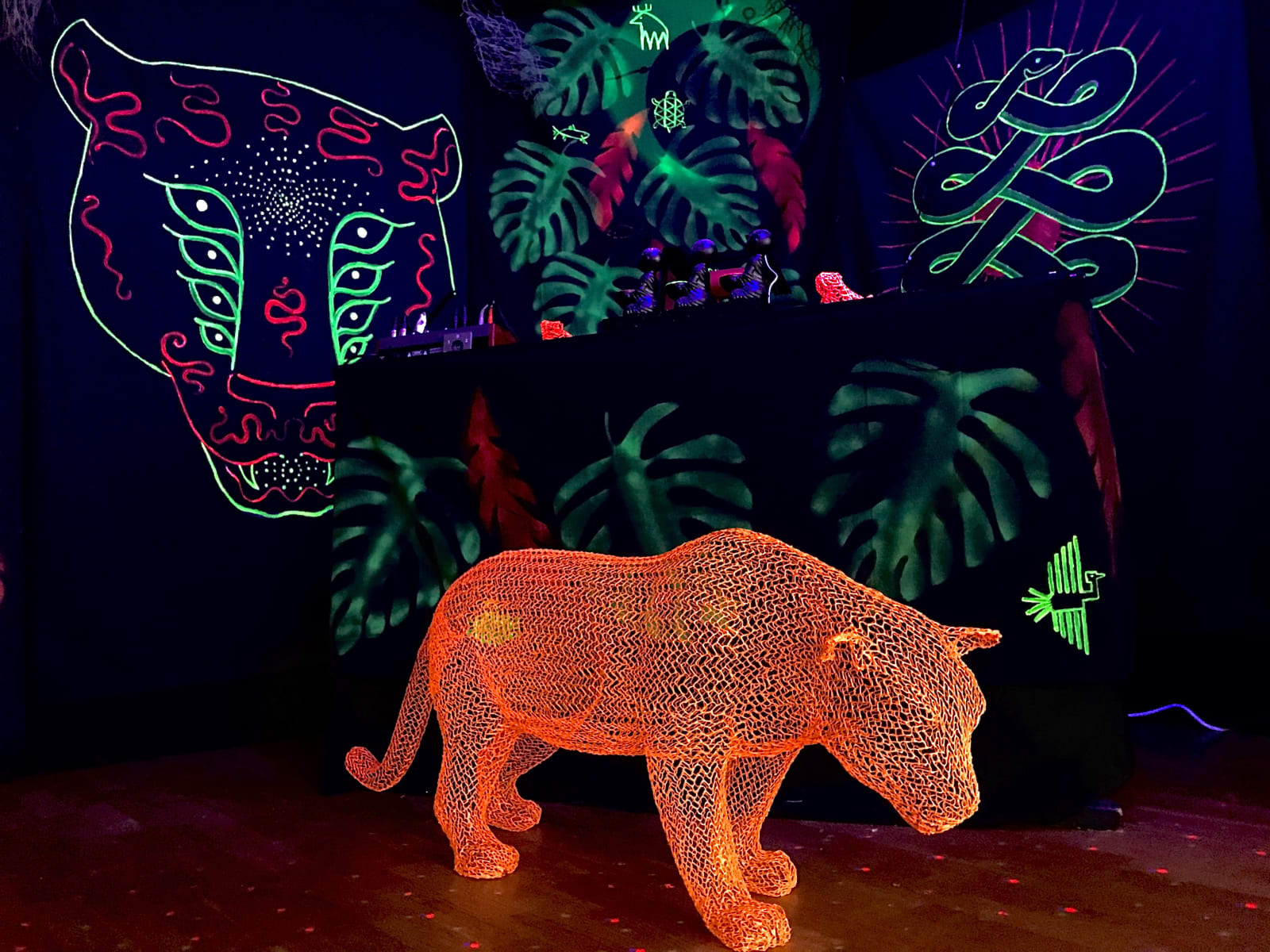 Eka Acosta, Orange Cat