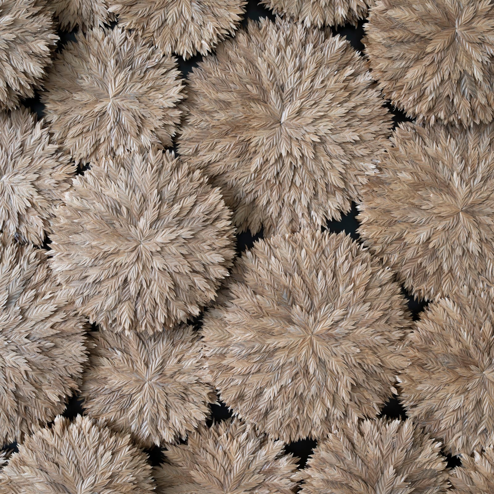 Hilde Trip, Crystal symphonie