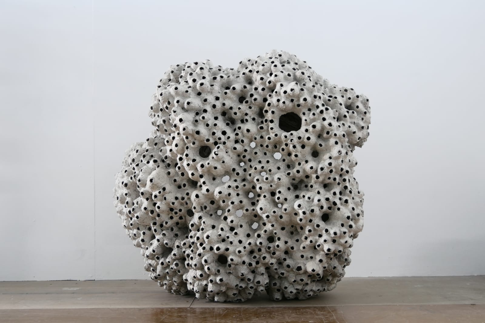 Frits Achten, Barnacles
