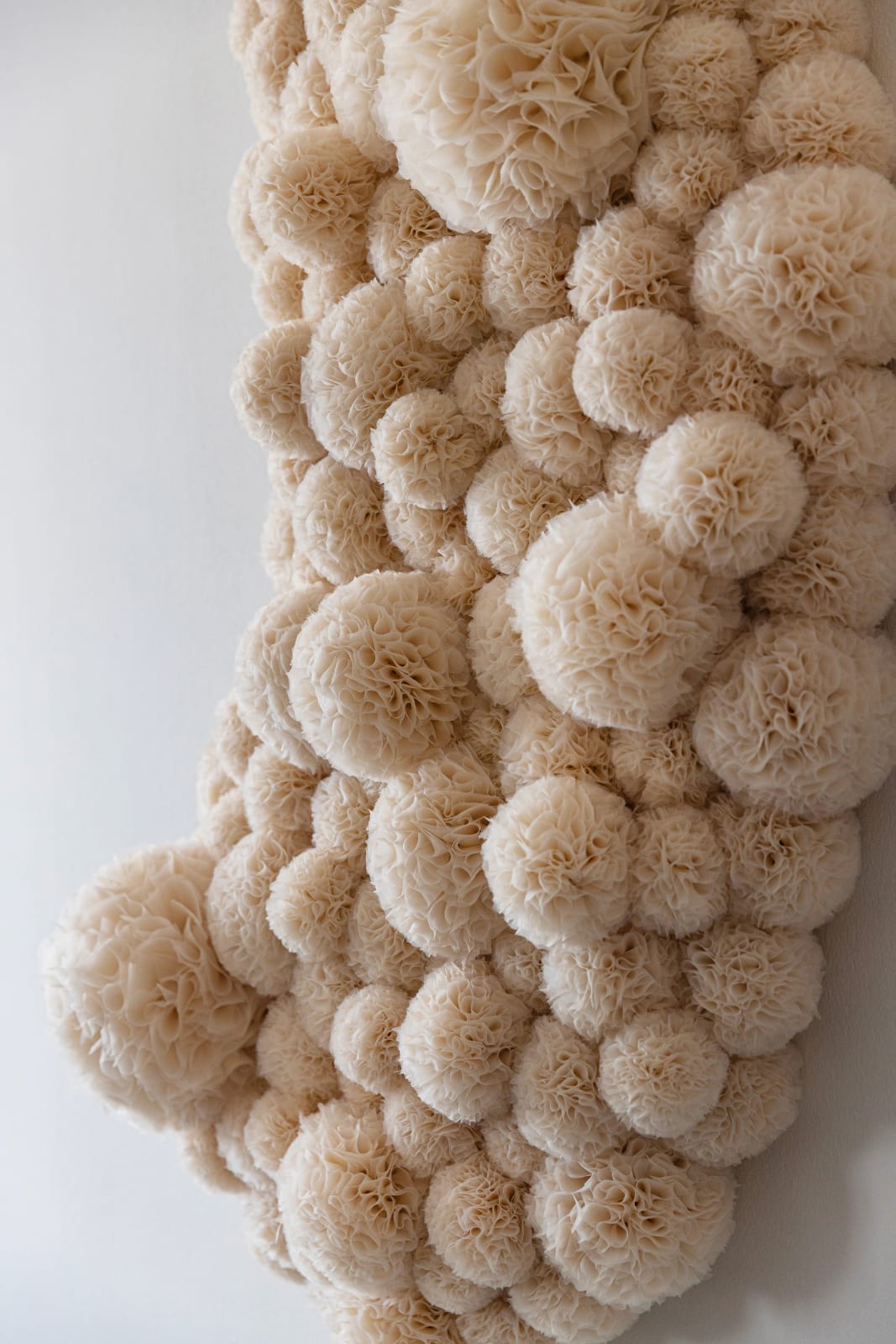 Sofie Aaldering, Soft