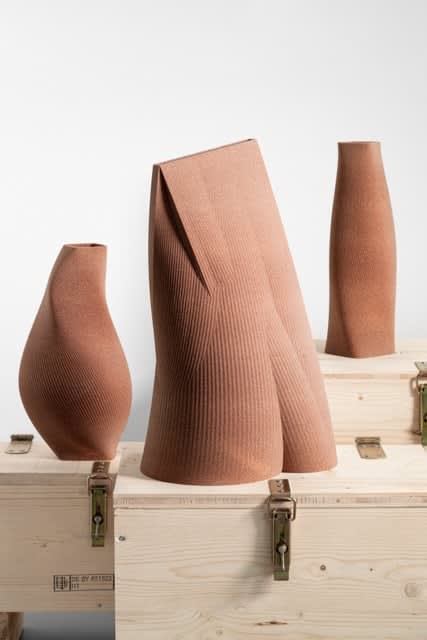 Rive Roshan, Pleated Trunk 01