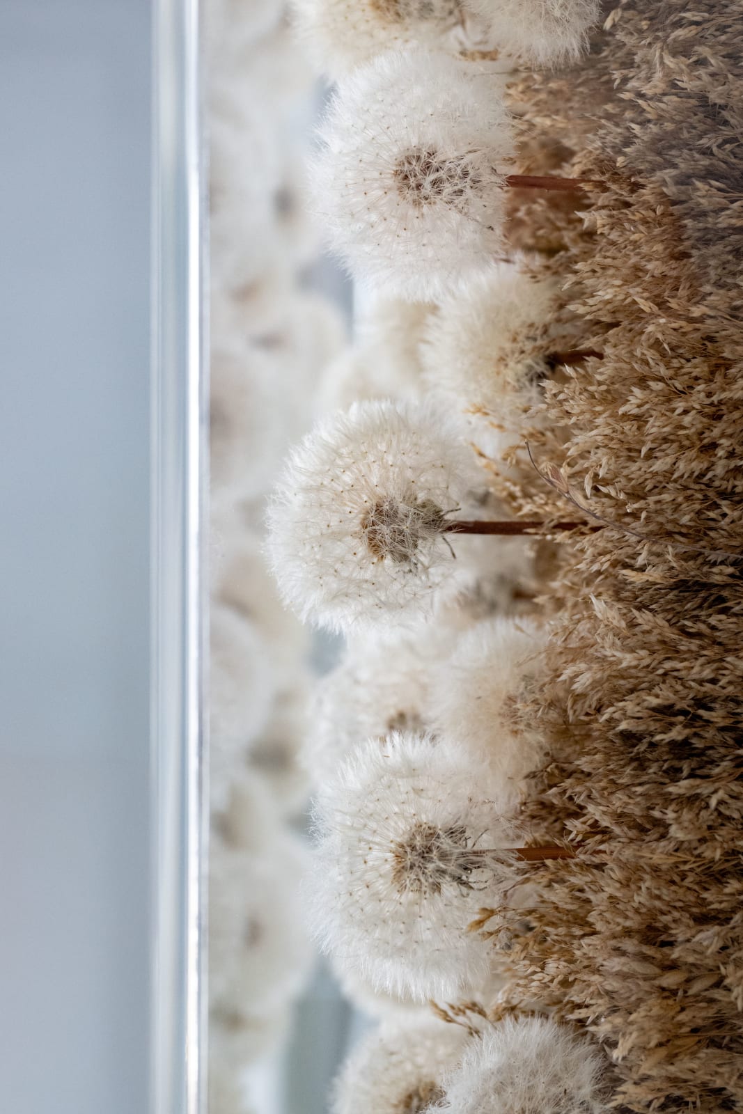 Hilde Trip, Make a wish, 2025