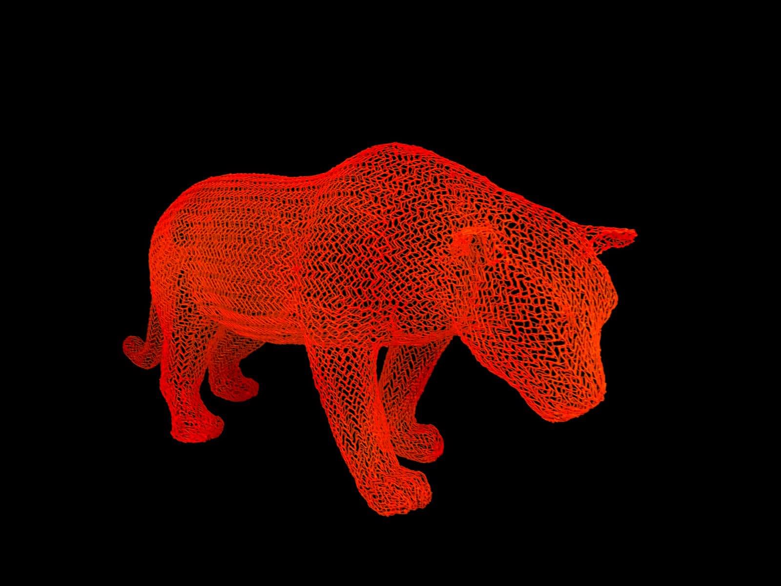 Eka Acosta, Orange Cat