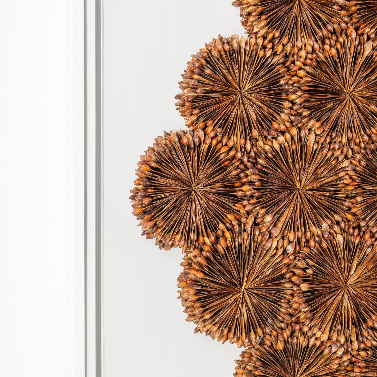 Hilde Trip, Radar Love, 2025