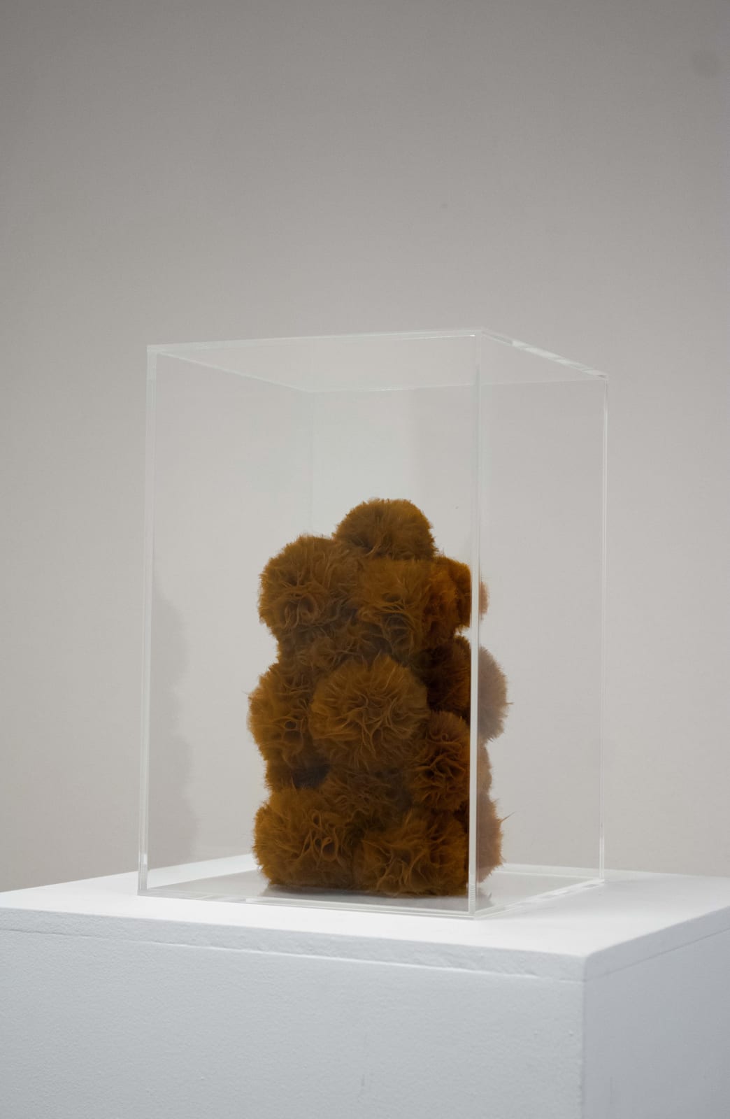 Sofie Aaldering, Burnt Sienna Cube