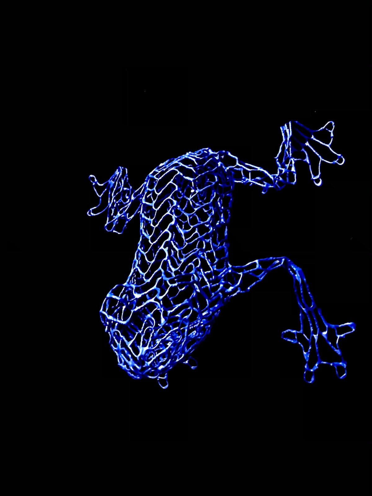 Eka Acosta, EDITIONS - Frog Blue , 2021