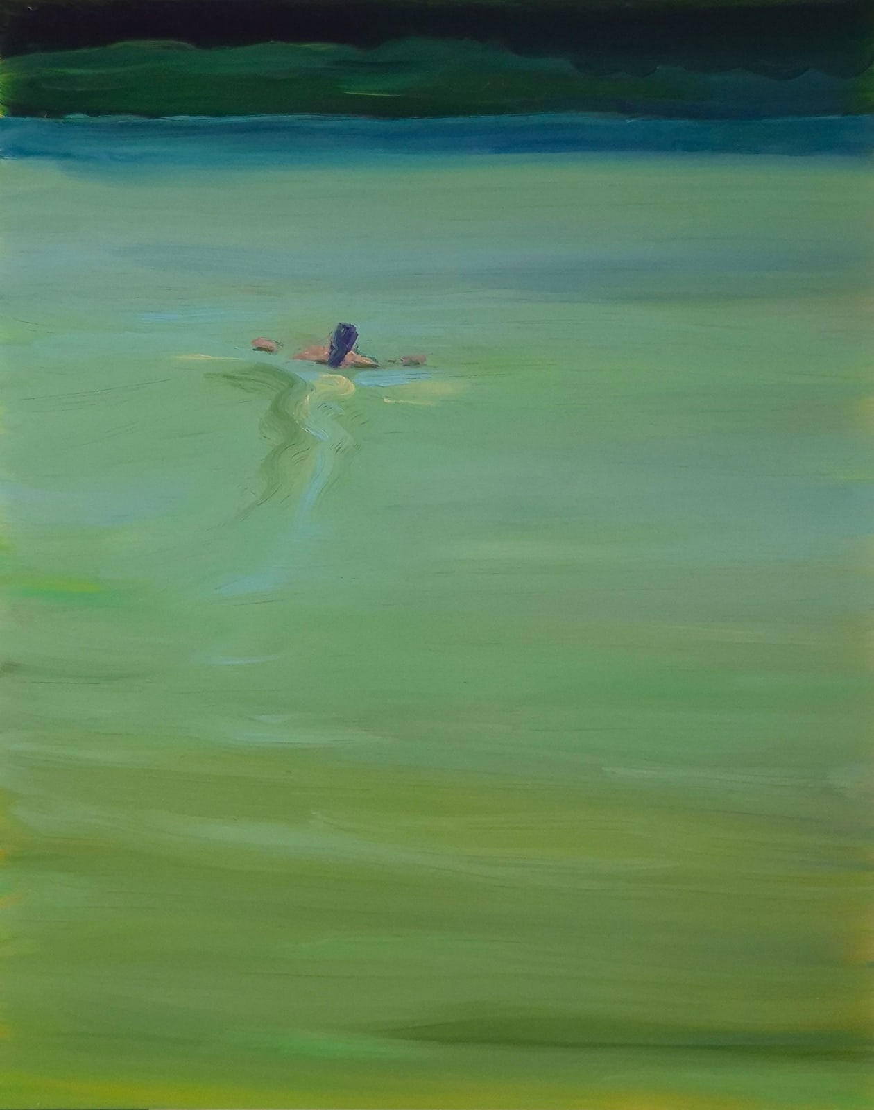 Alice Brasser, Lonely swim
