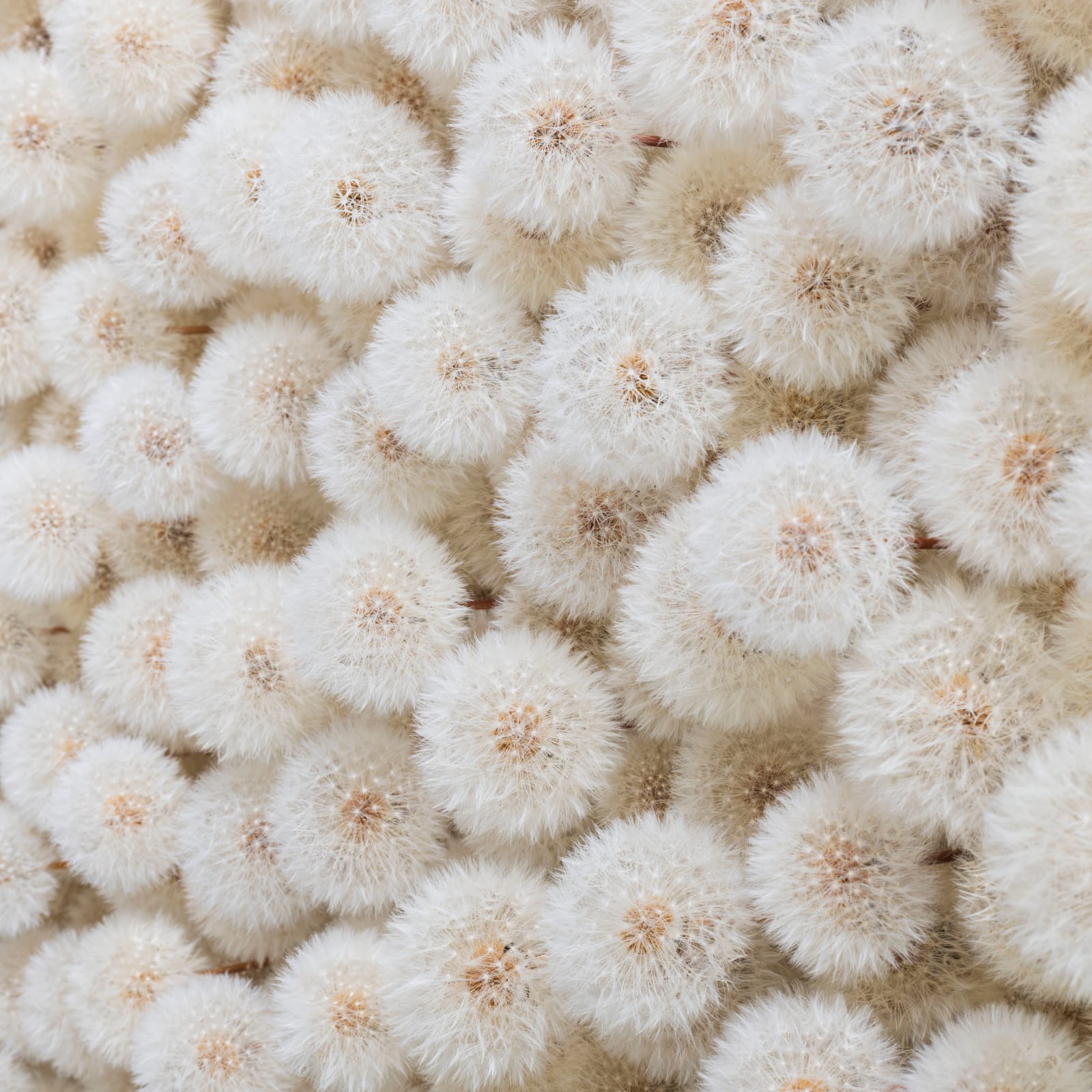 Hilde Trip, To the Moon , 2025