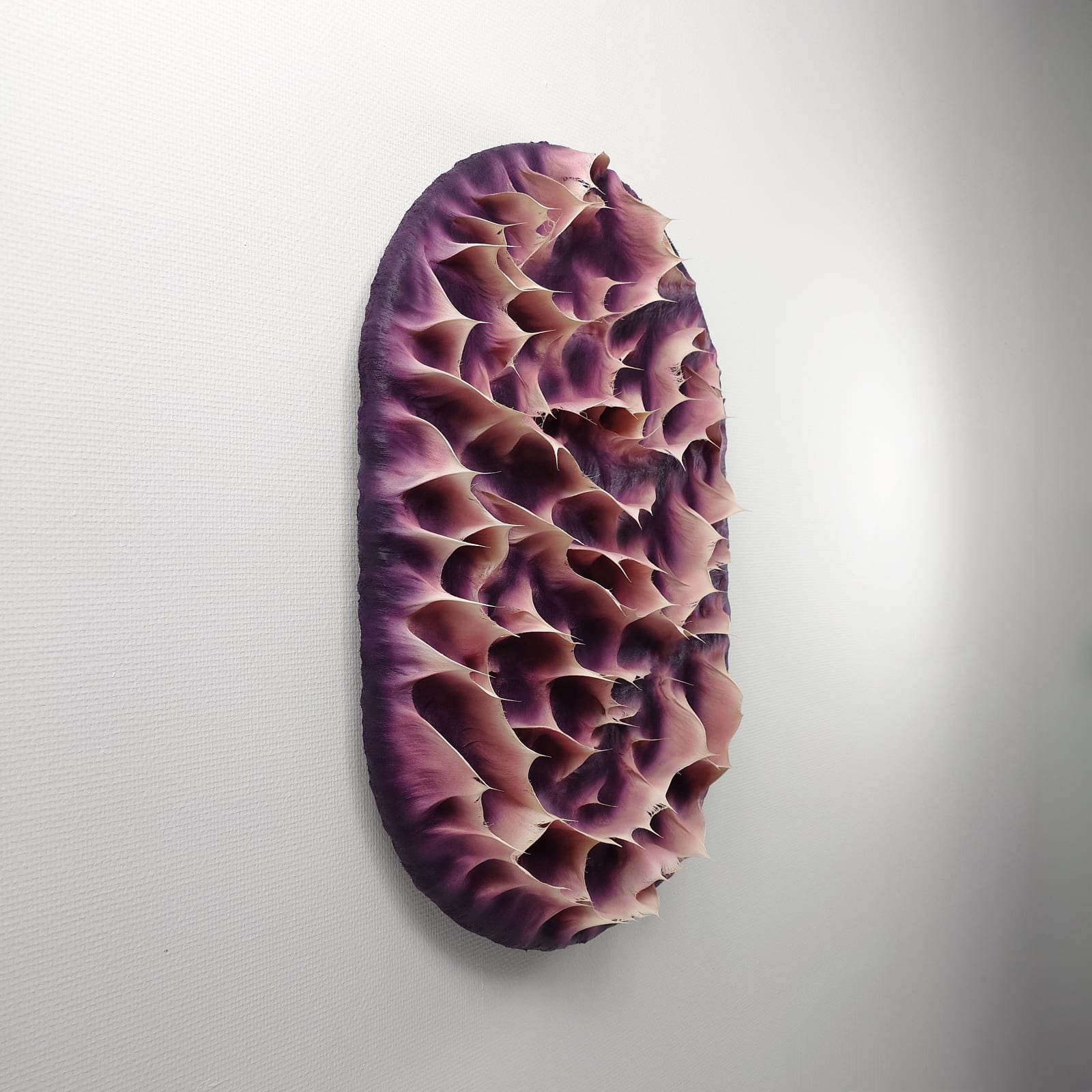 Coen Derickx, Purple and Pink number 8