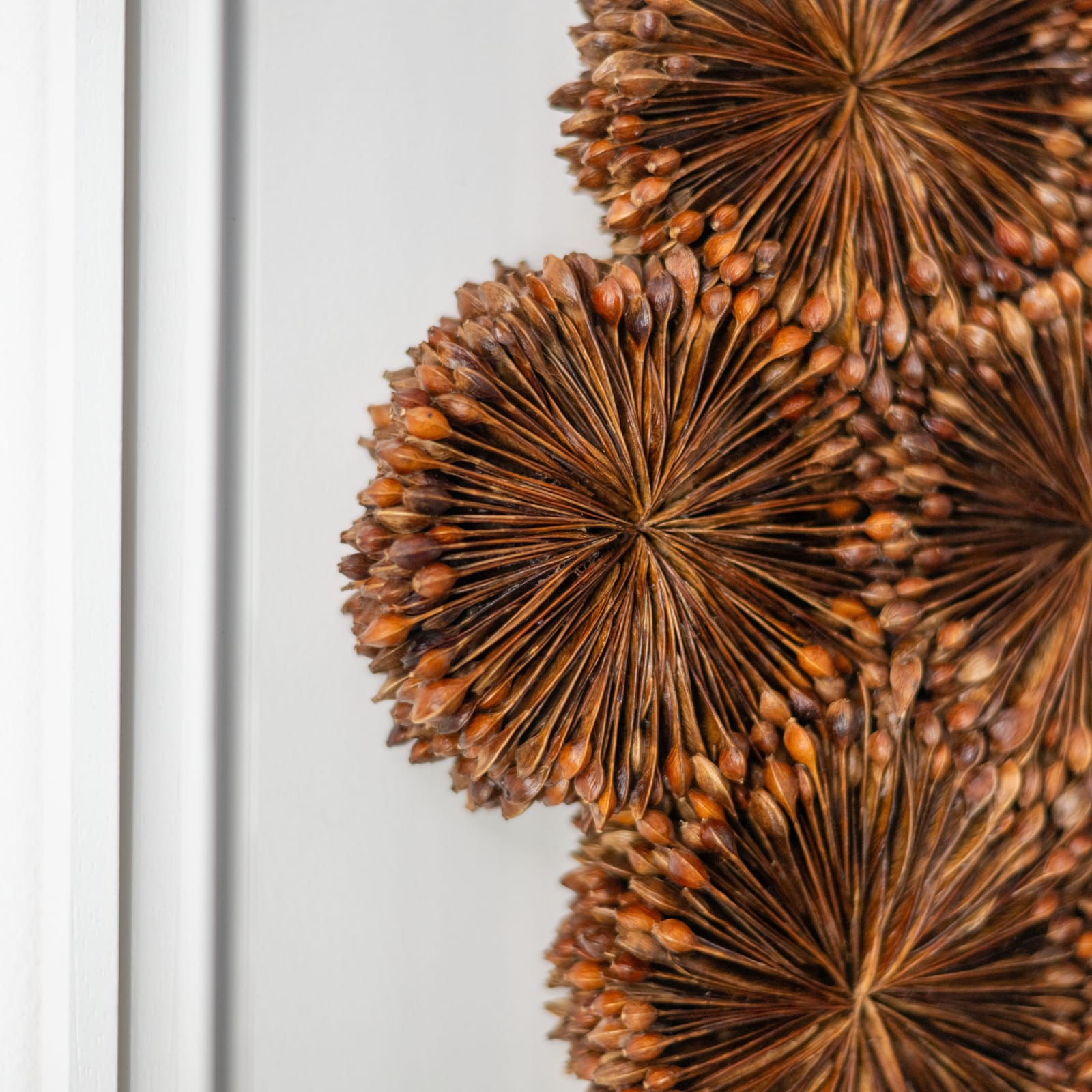 Hilde Trip, Radar Love, 2025