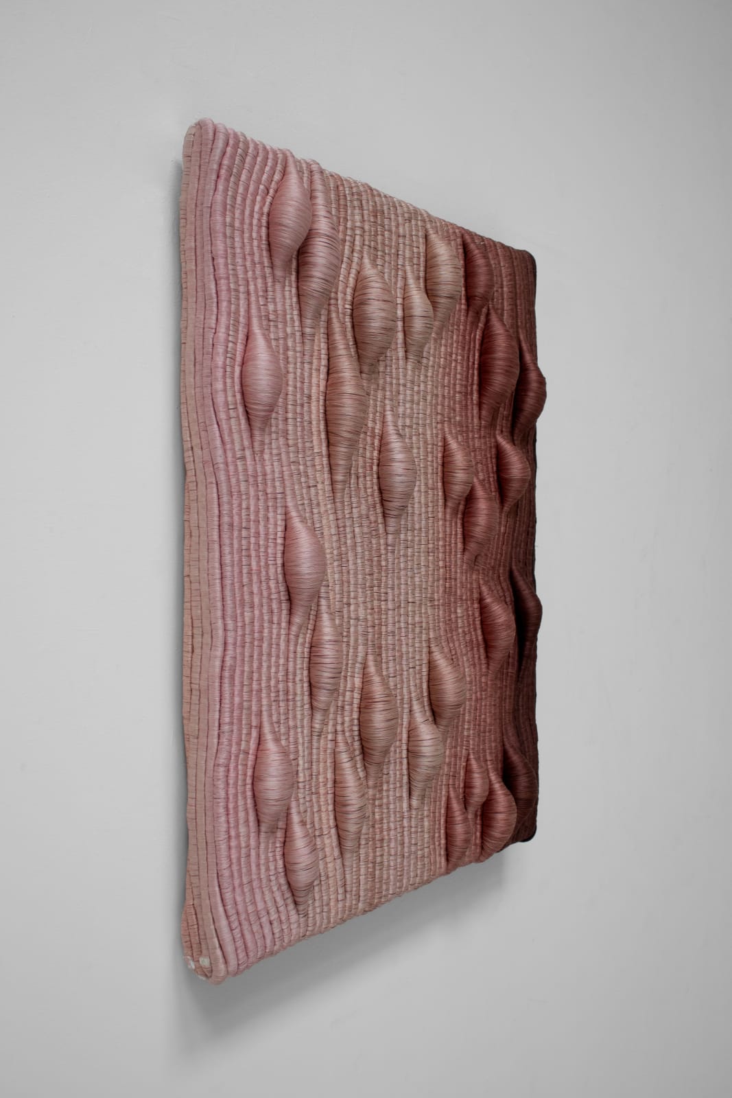 Joana Schneider, Rosewater