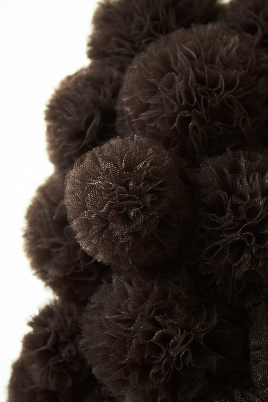 Sofie Aaldering, Espresso