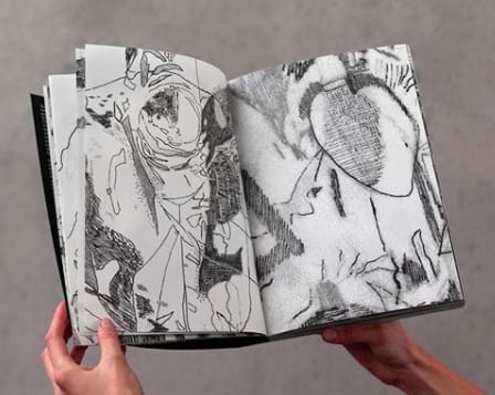 Florentijn de Boer, Boek Phantomride