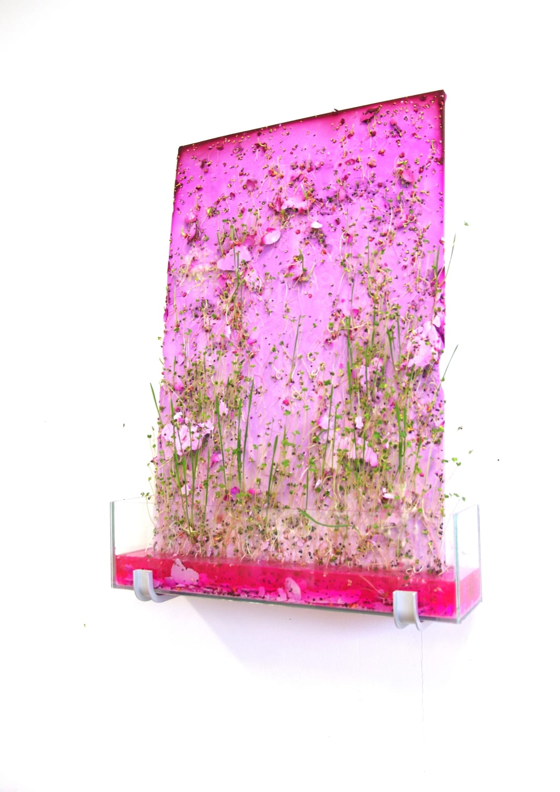 Esther Hoogendijk, Two kinds of pink + green
