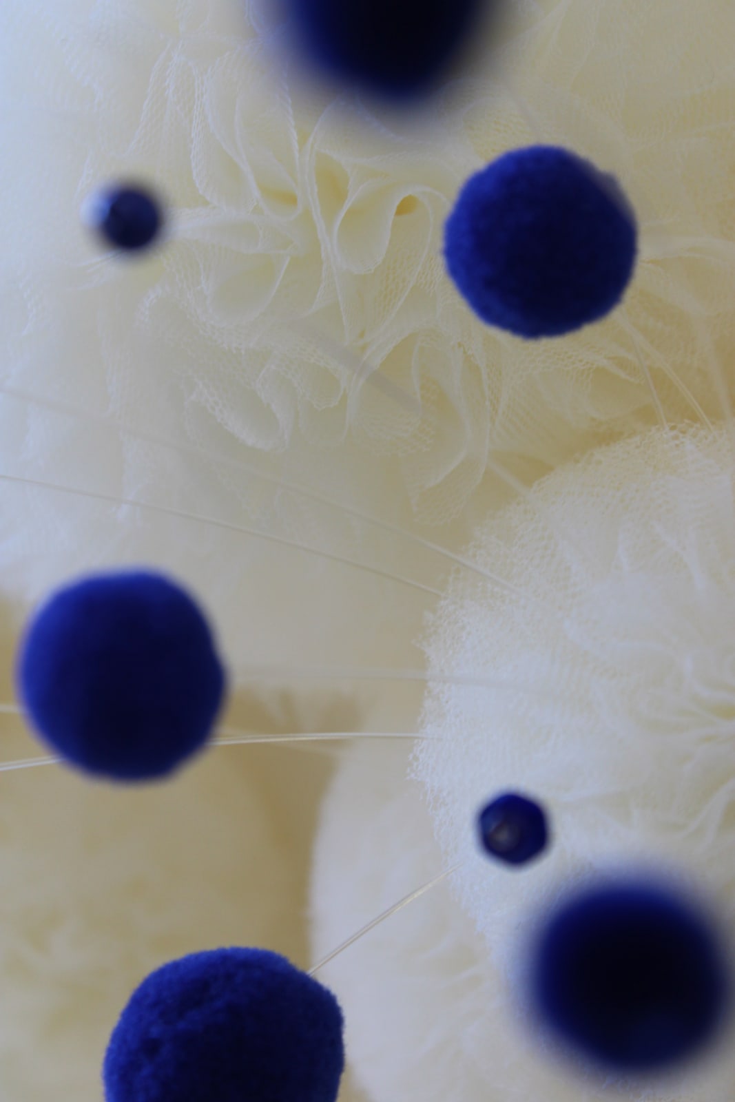 Sofie Aaldering, Touch of Blue