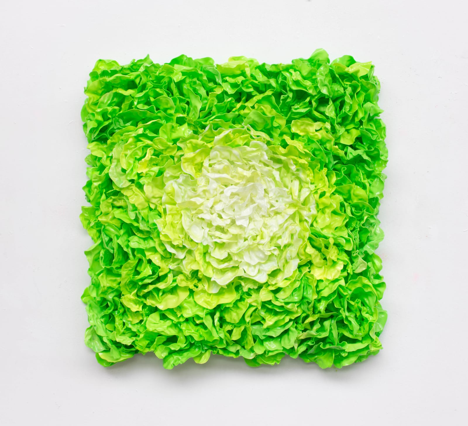 Stefan Gross, Lettuce - II