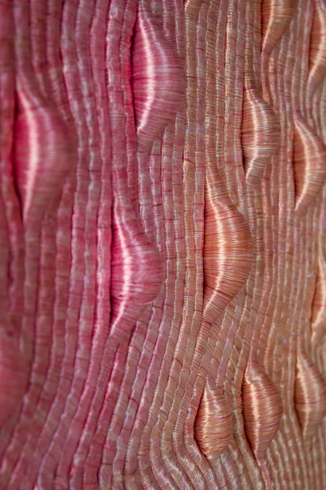 Joana Schneider, Morning Prairies 2