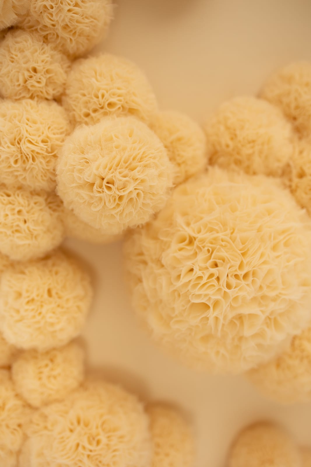 Sofie Aaldering, Sandhills