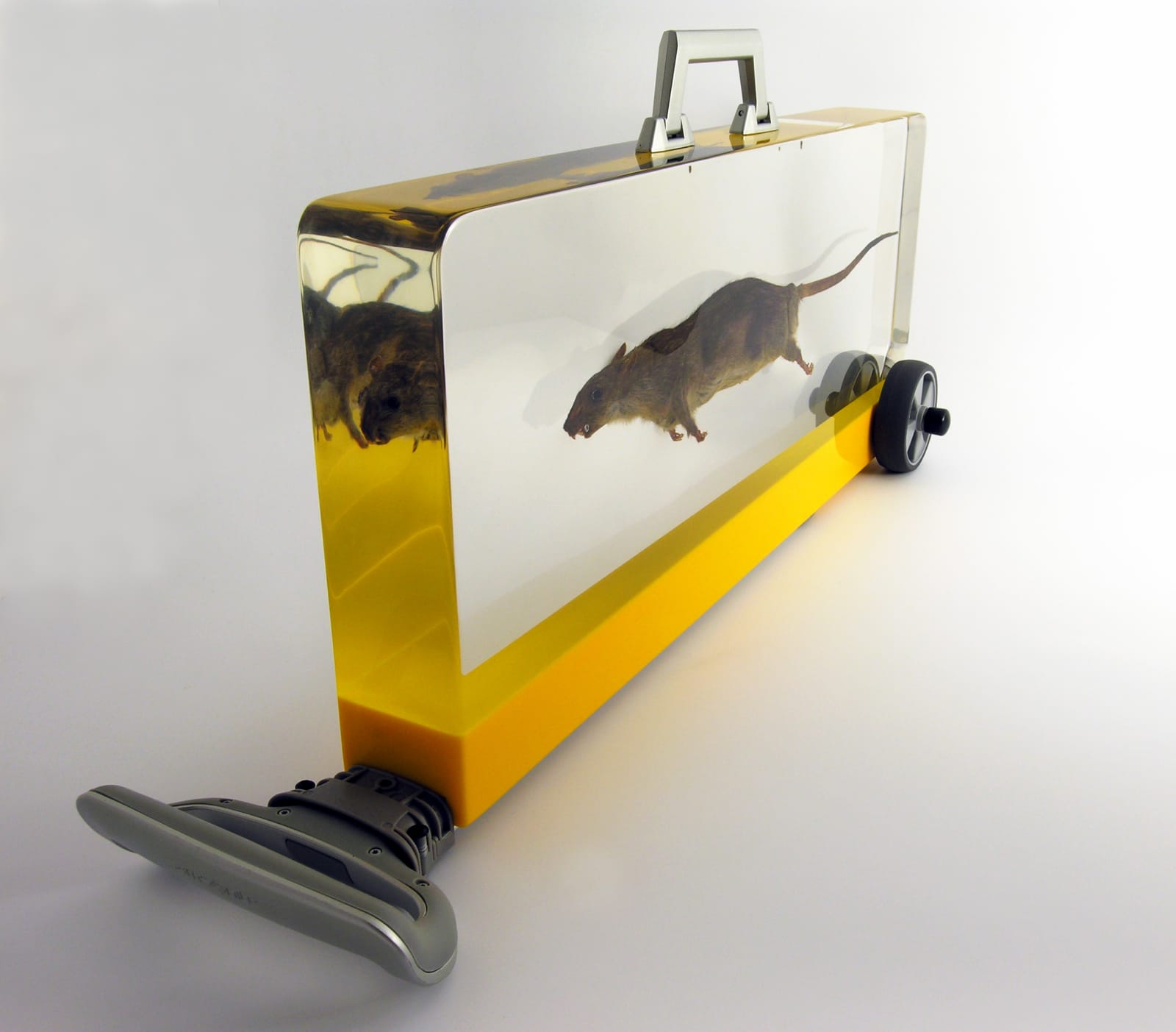 Ted Noten, Ratasmile