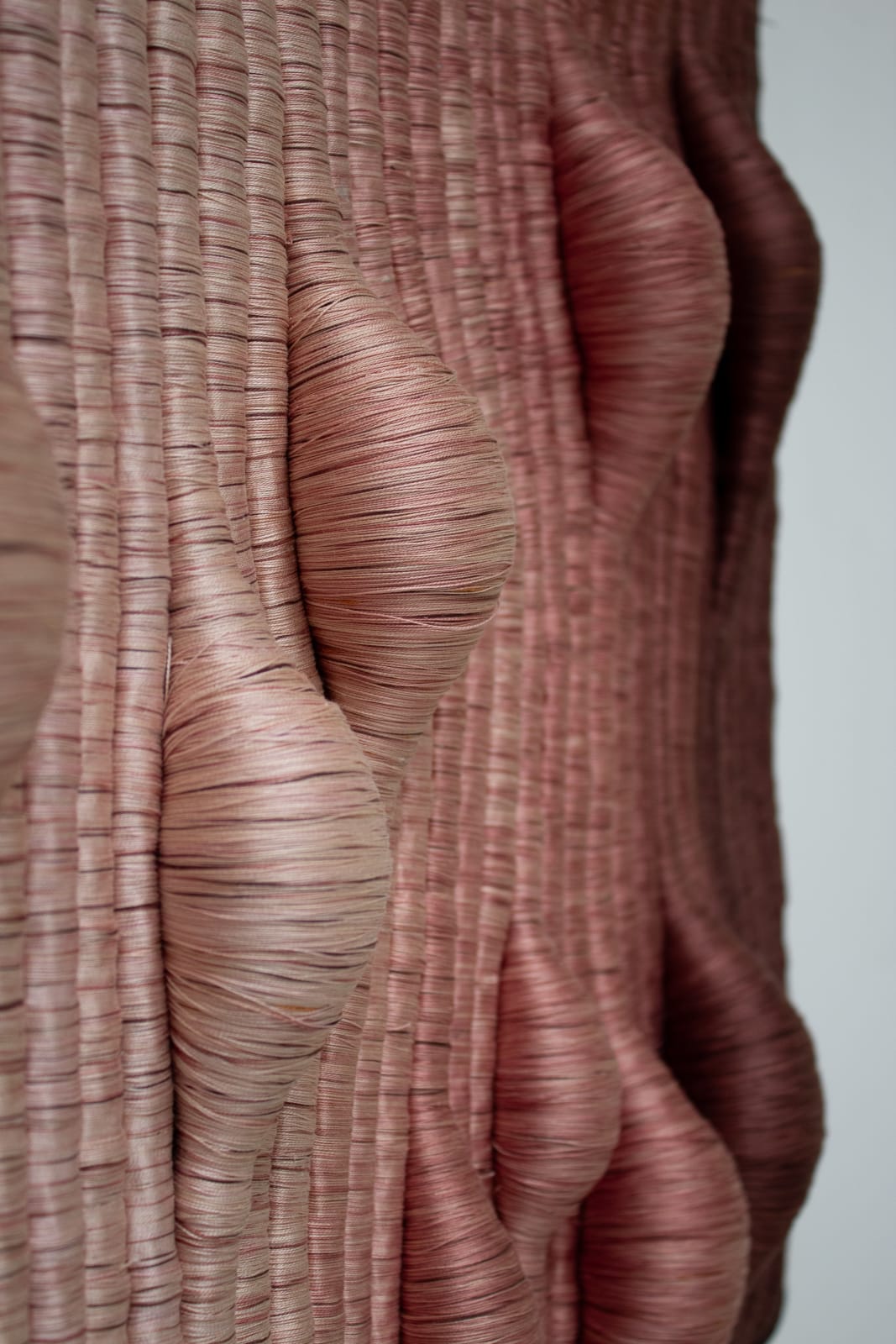 Joana Schneider, Rosewater