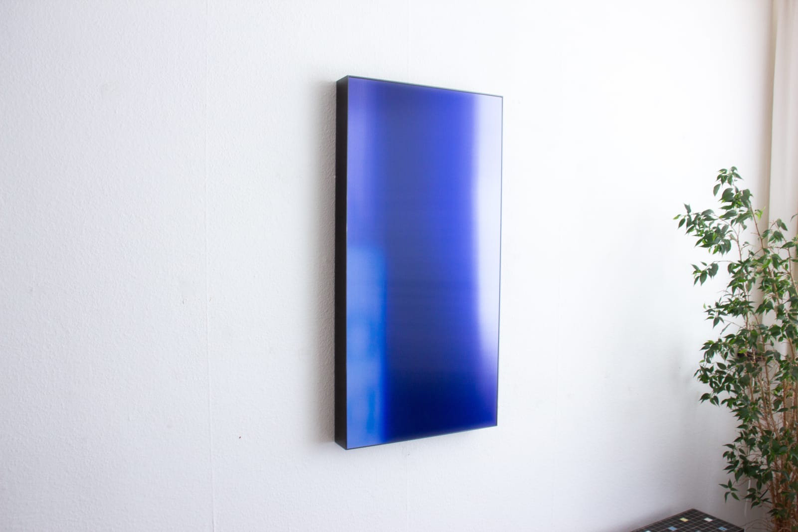 Jens Buis, Celluloid forest