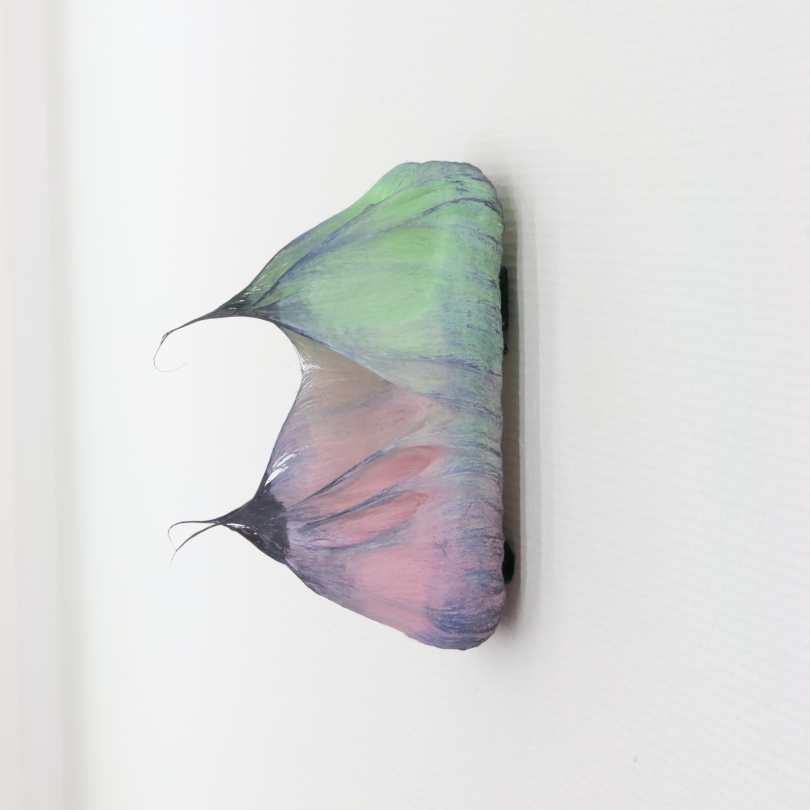 Coen Derickx, Green, Pink and Purple