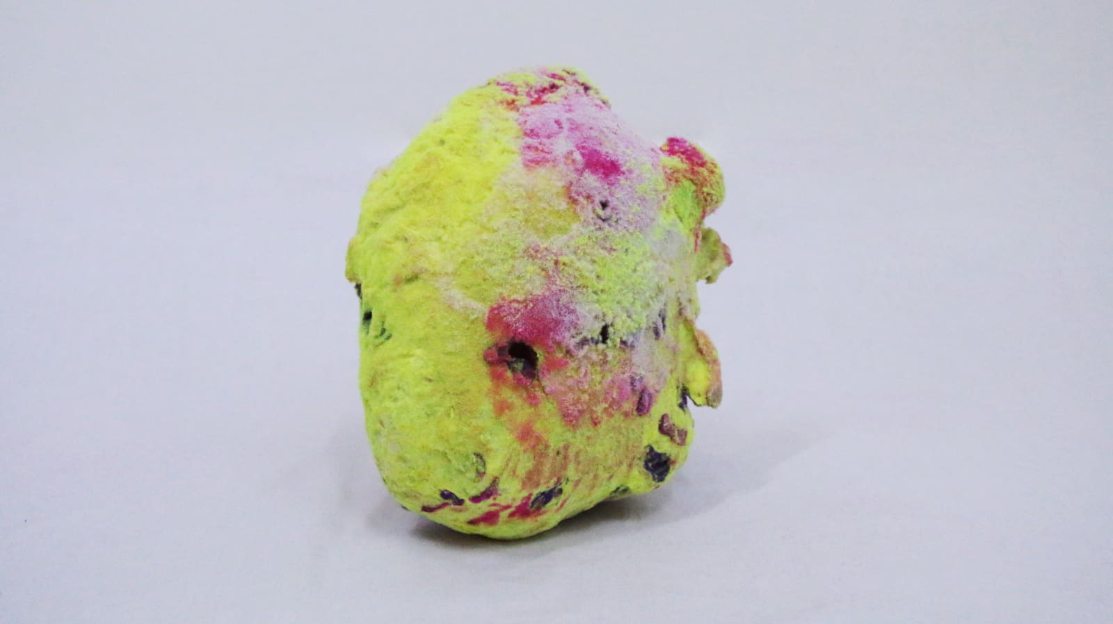 Pedro Matias, Lophelia Pertusa Coralia