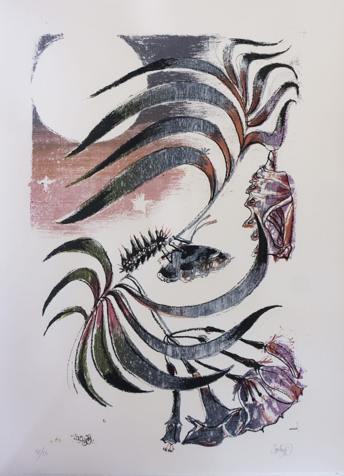 Sophie Steengracht, EDITIONS - Transfigure, 2020