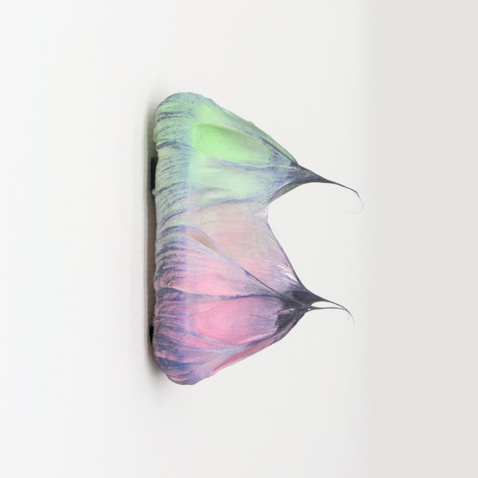 Coen Derickx, Green, Pink and Purple