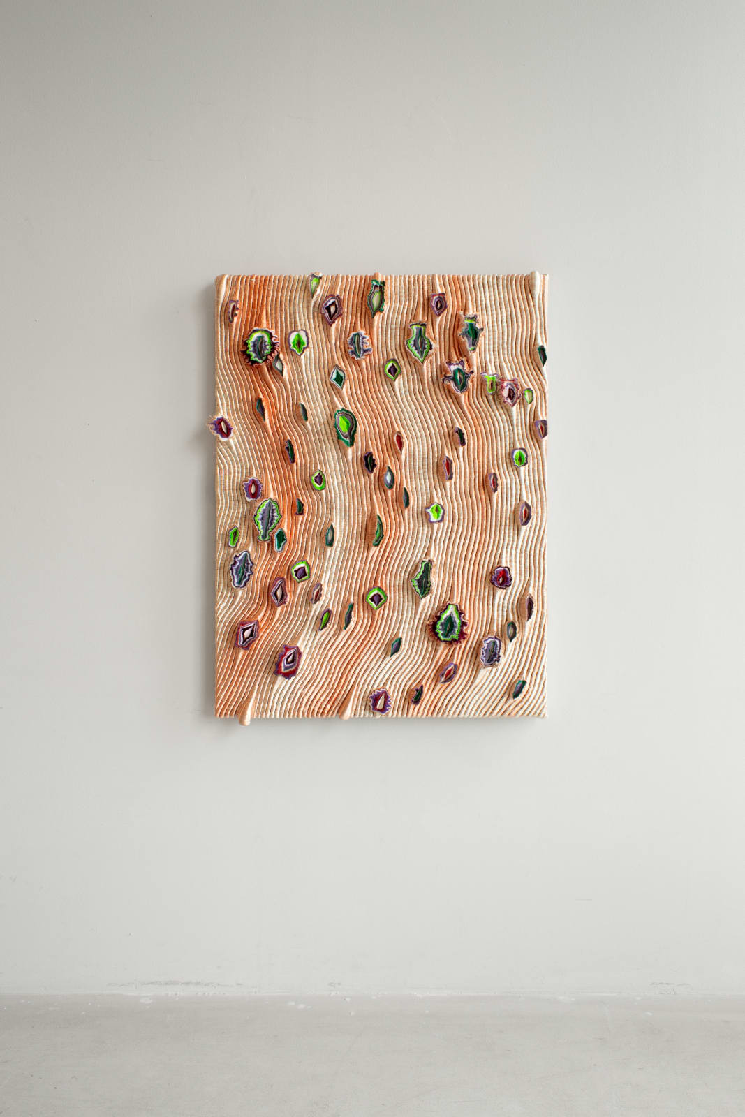 Joana Schneider, Paradise bird