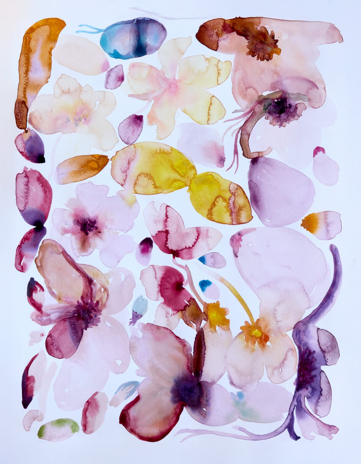 Poppykalas, Symbiosis of Life