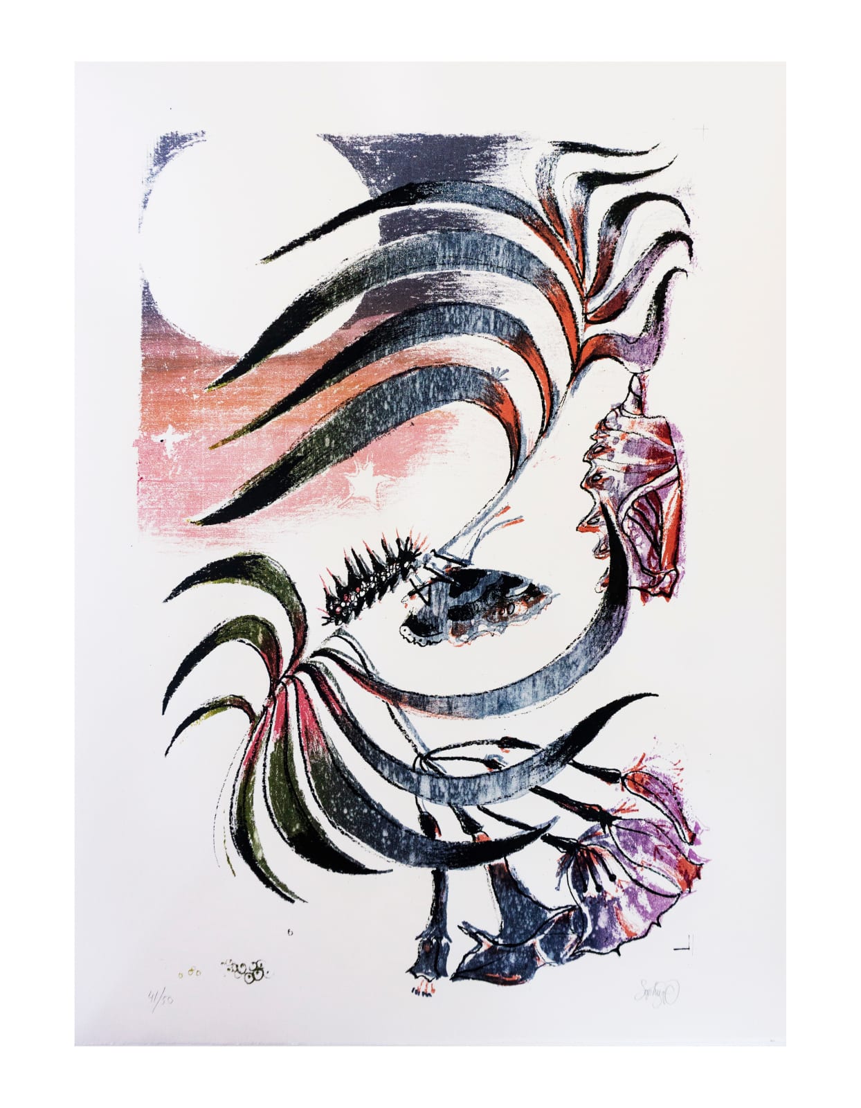 Sophie Steengracht, EDITIONS - Transfigure, 2020