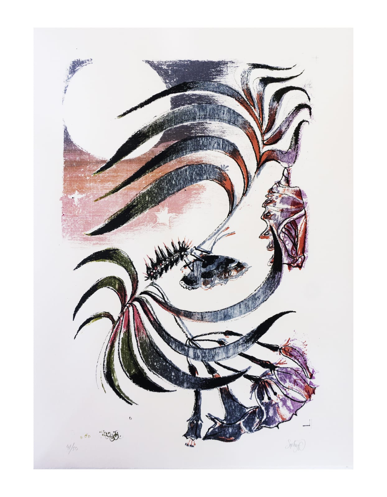 Sophie Steengracht, EDITIONS - Transfigure
