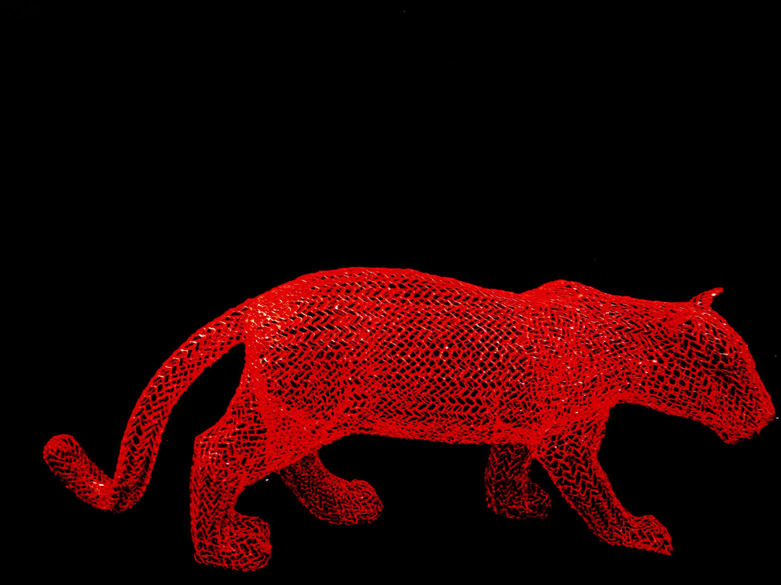 Eka Acosta, Red Jungle Cat