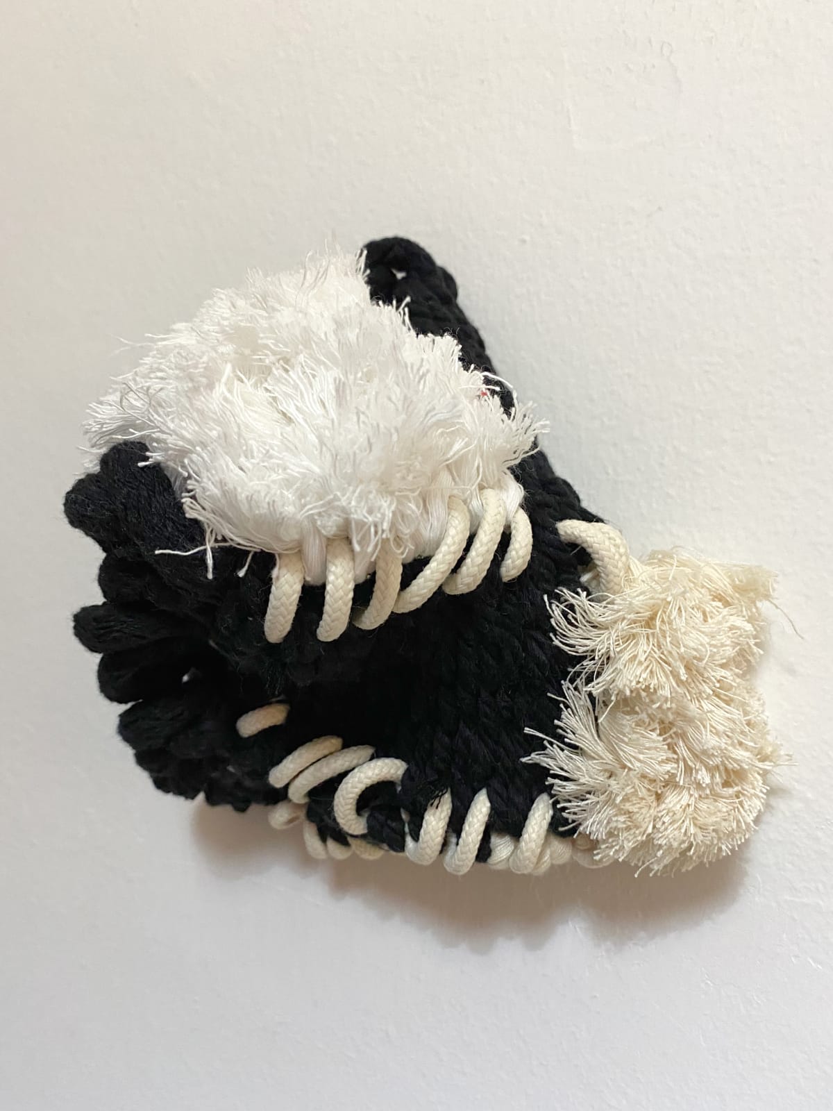 Mariadela Araujo, Semilla III