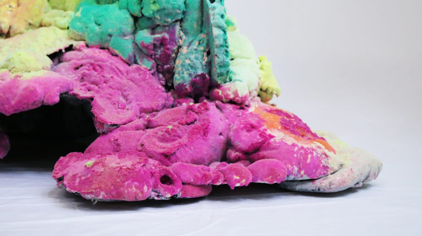 Pedro Matias, Tubipora Coralia