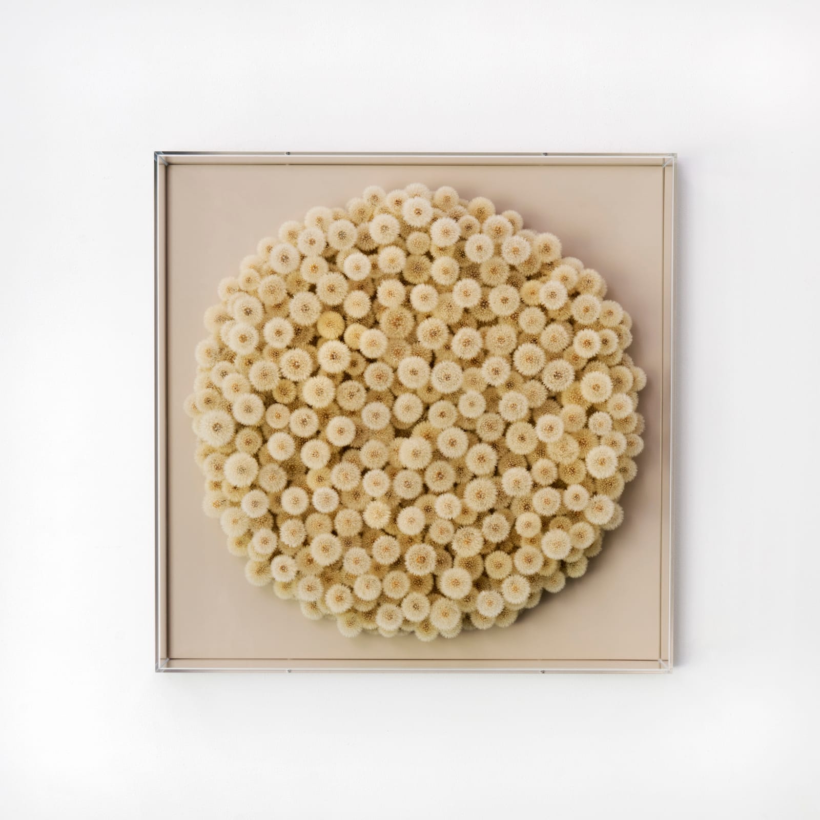 Hilde Trip, To the Moon , 2025