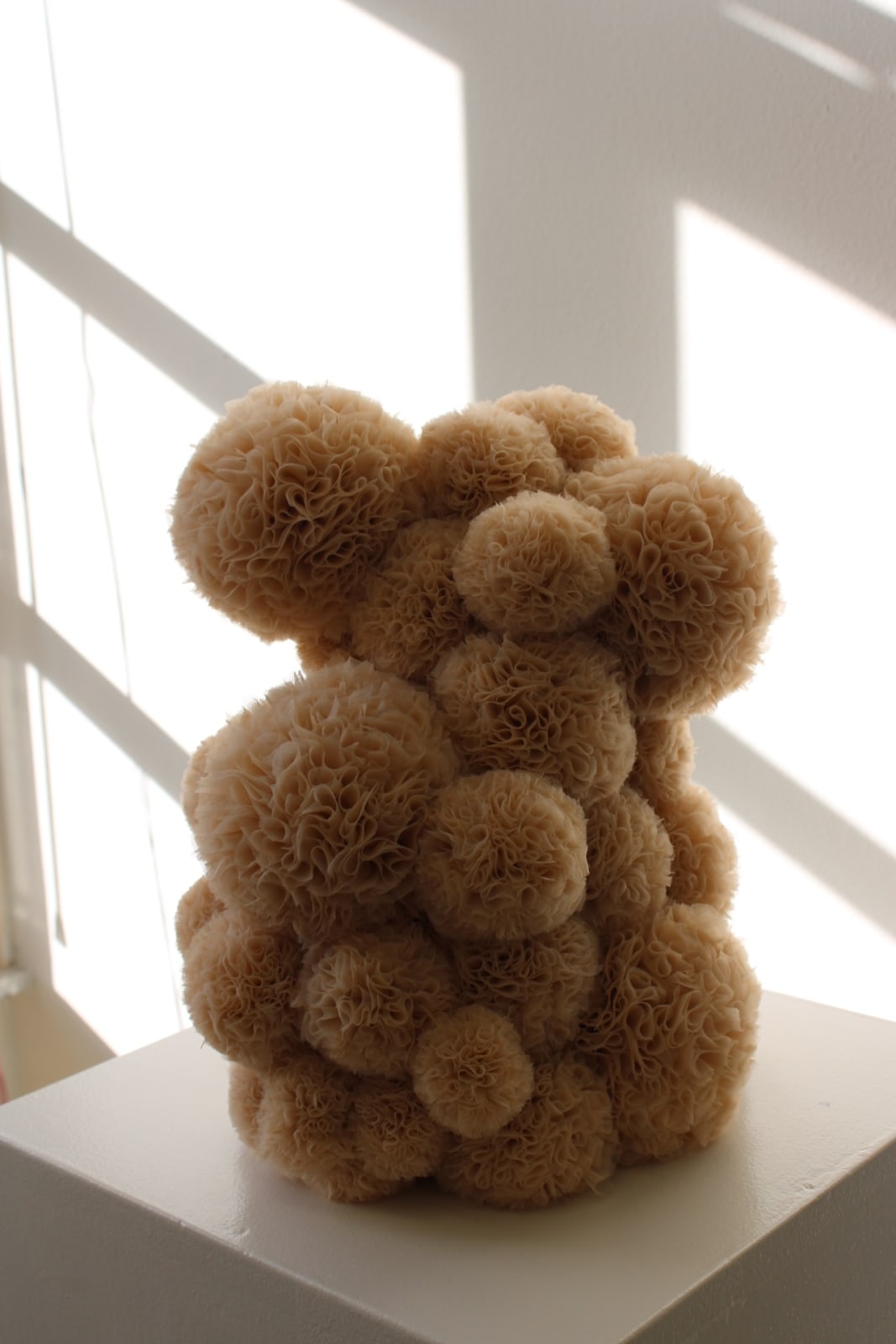 Sofie Aaldering, Montanum