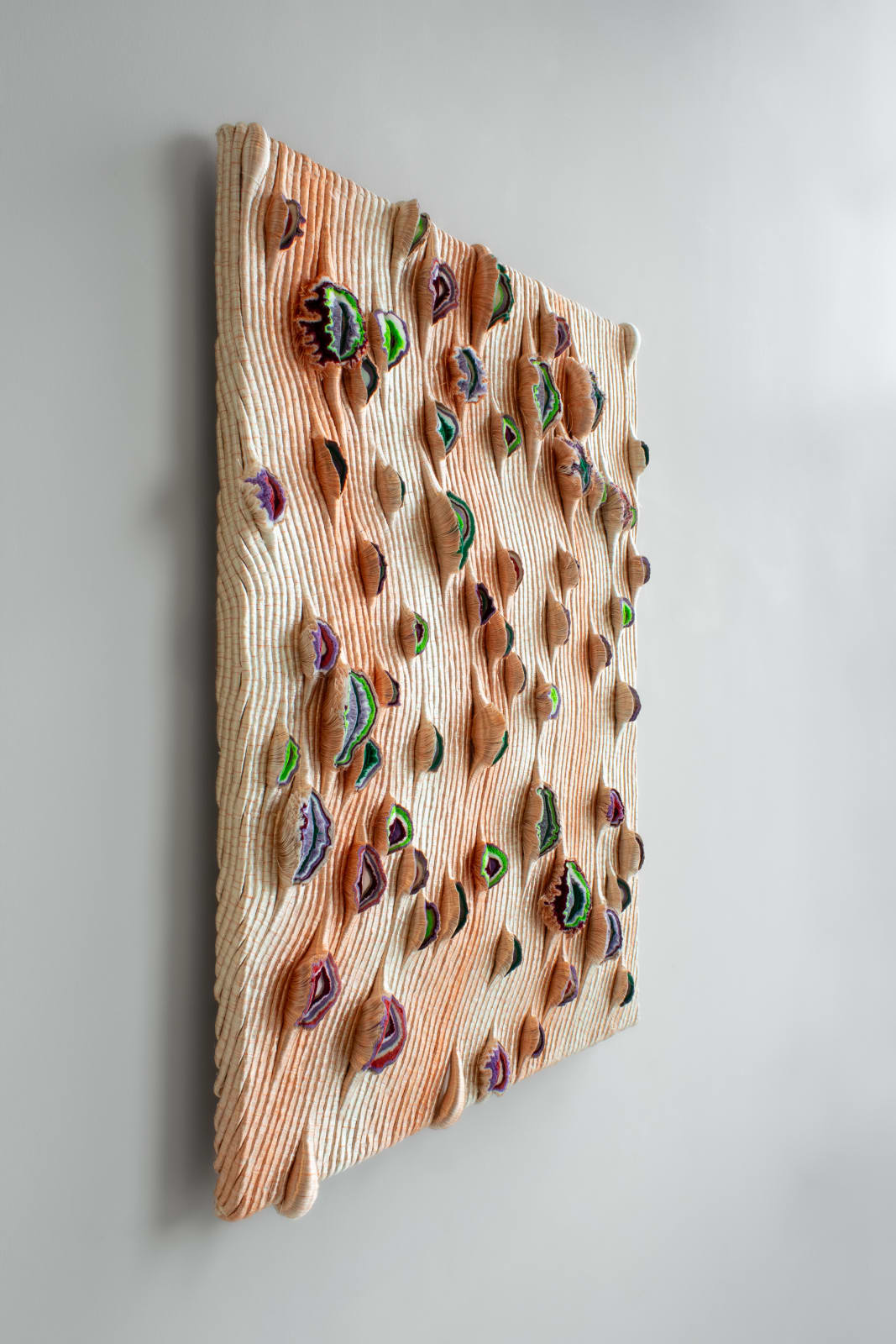 Joana Schneider, Paradise bird