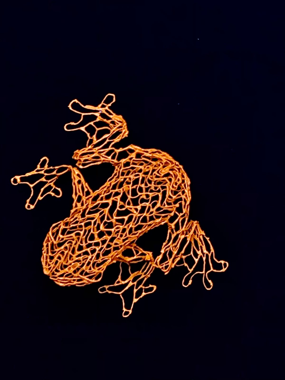 Eka Acosta, EDITIONS - Frog Orange , 2021
