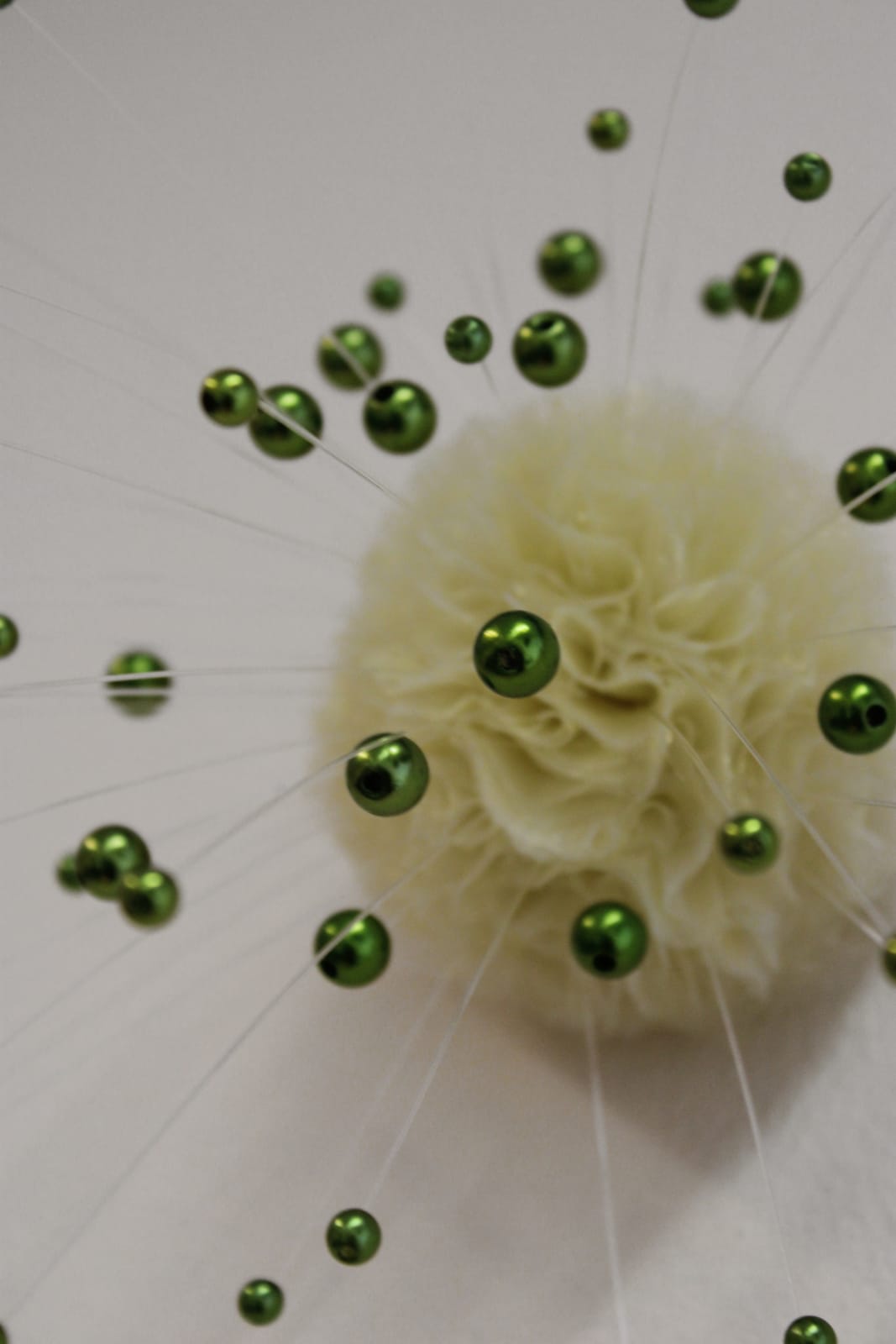 Sofie Aaldering, Green Pompom
