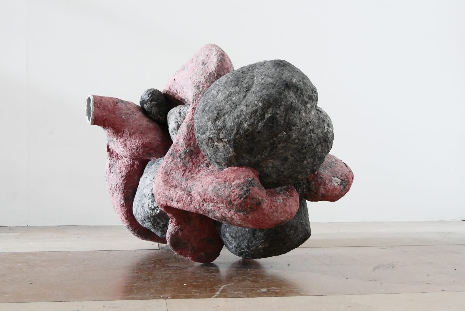 Frits Achten, Conglomerate red