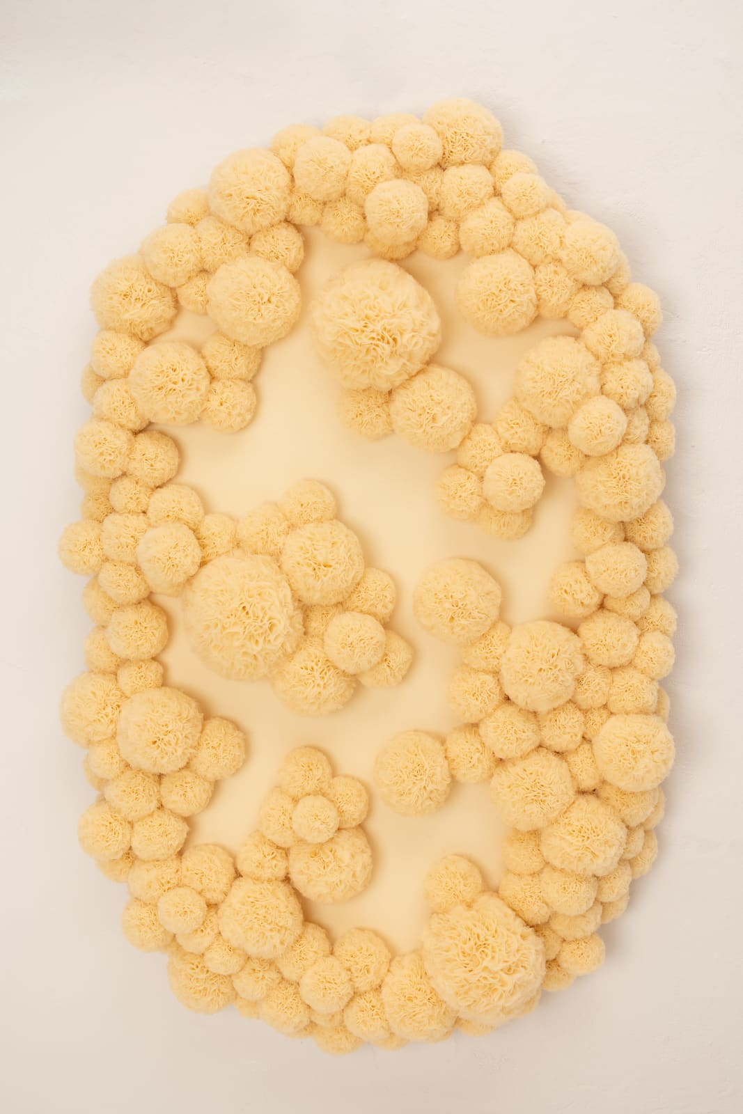 Sofie Aaldering, Sandhills