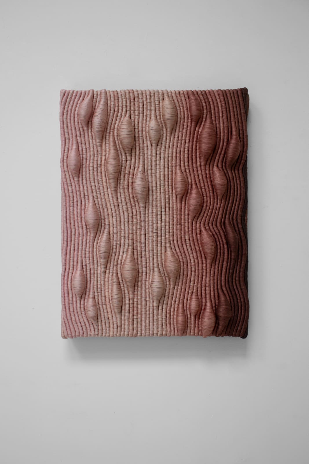 Joana Schneider, Rosewater