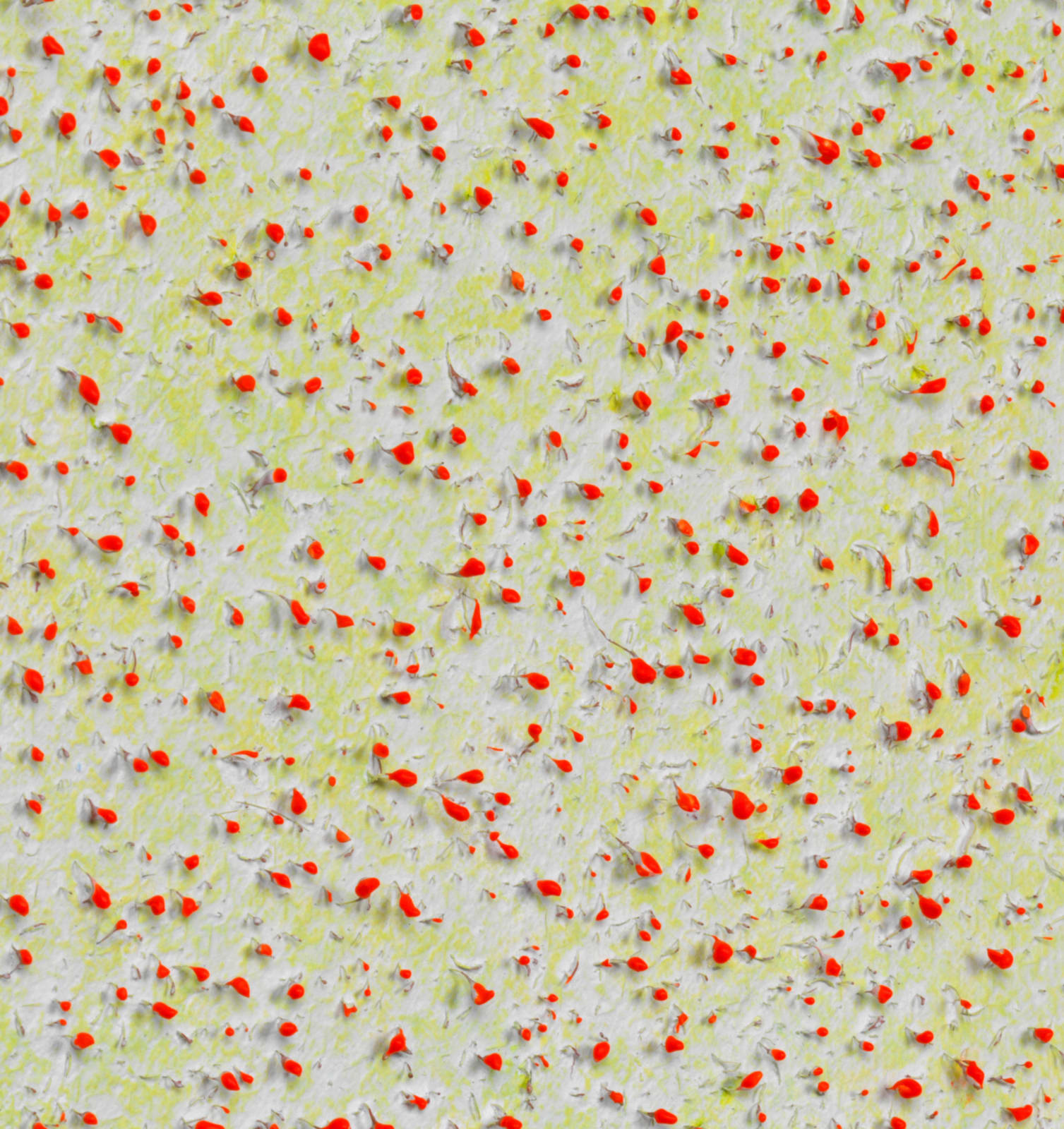Beppe Kessler, Pink dots, zigzag canvas