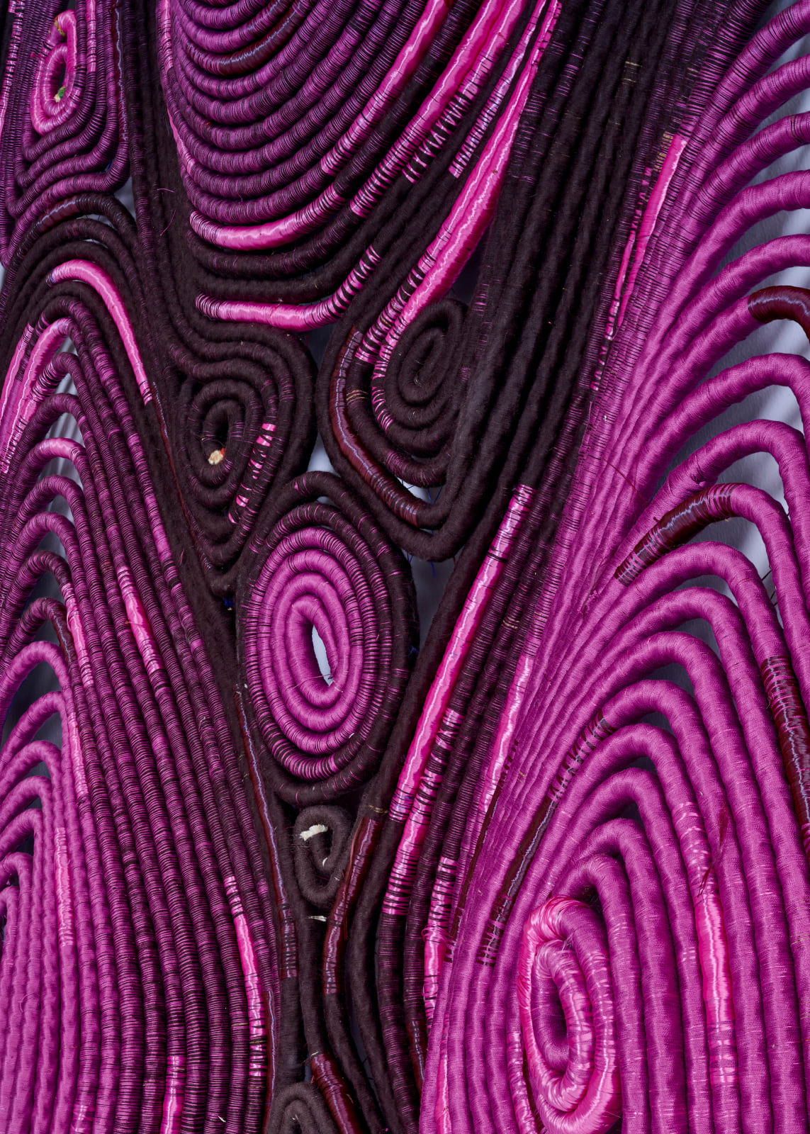 Joana Schneider, Insectum Fuchsia